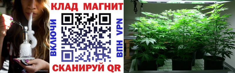 Виды наркоты Приволжск APVP Codein Конопля Мефедрон