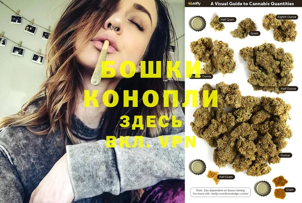 дживик Арсеньев