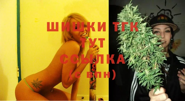 дживик Арсеньев